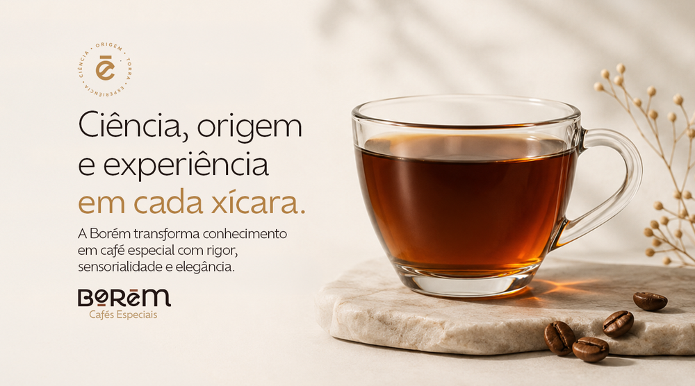 Ciência, origem e experiência em cada xícara: xícara de vidro com café coado